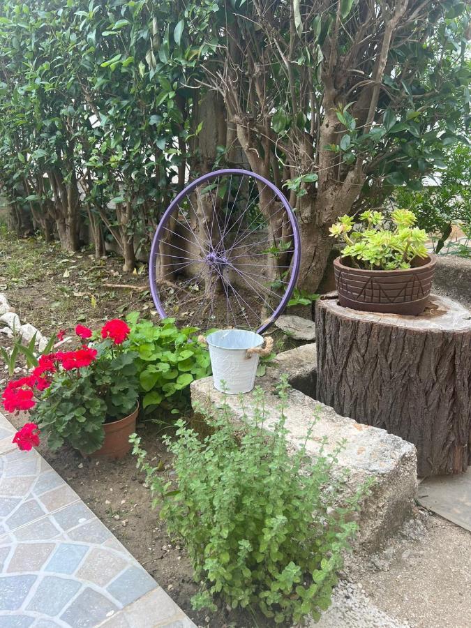 Apartment Luna Zadar Dış mekan fotoğraf